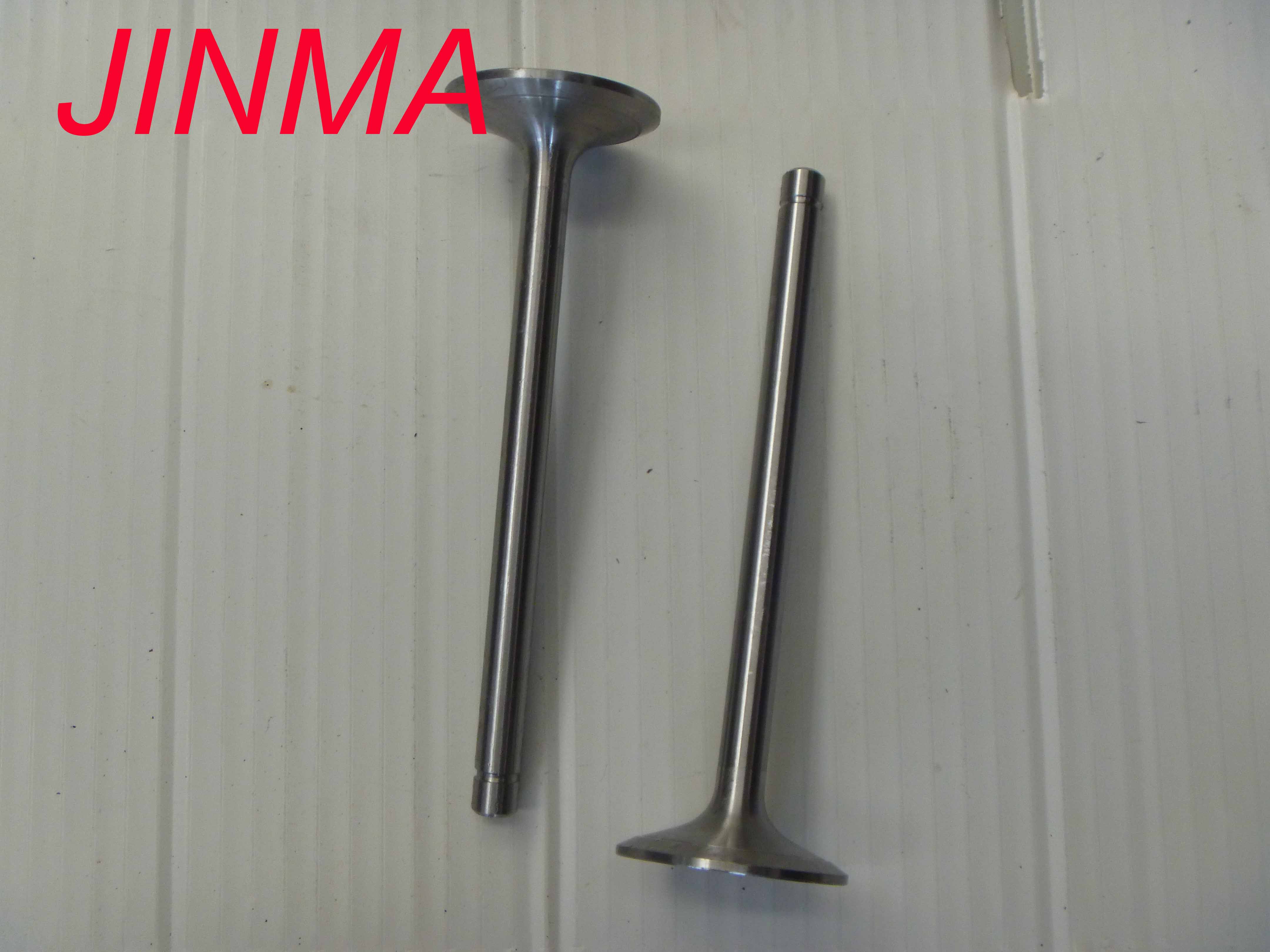 LL480B-03014/03015 Intake Valve